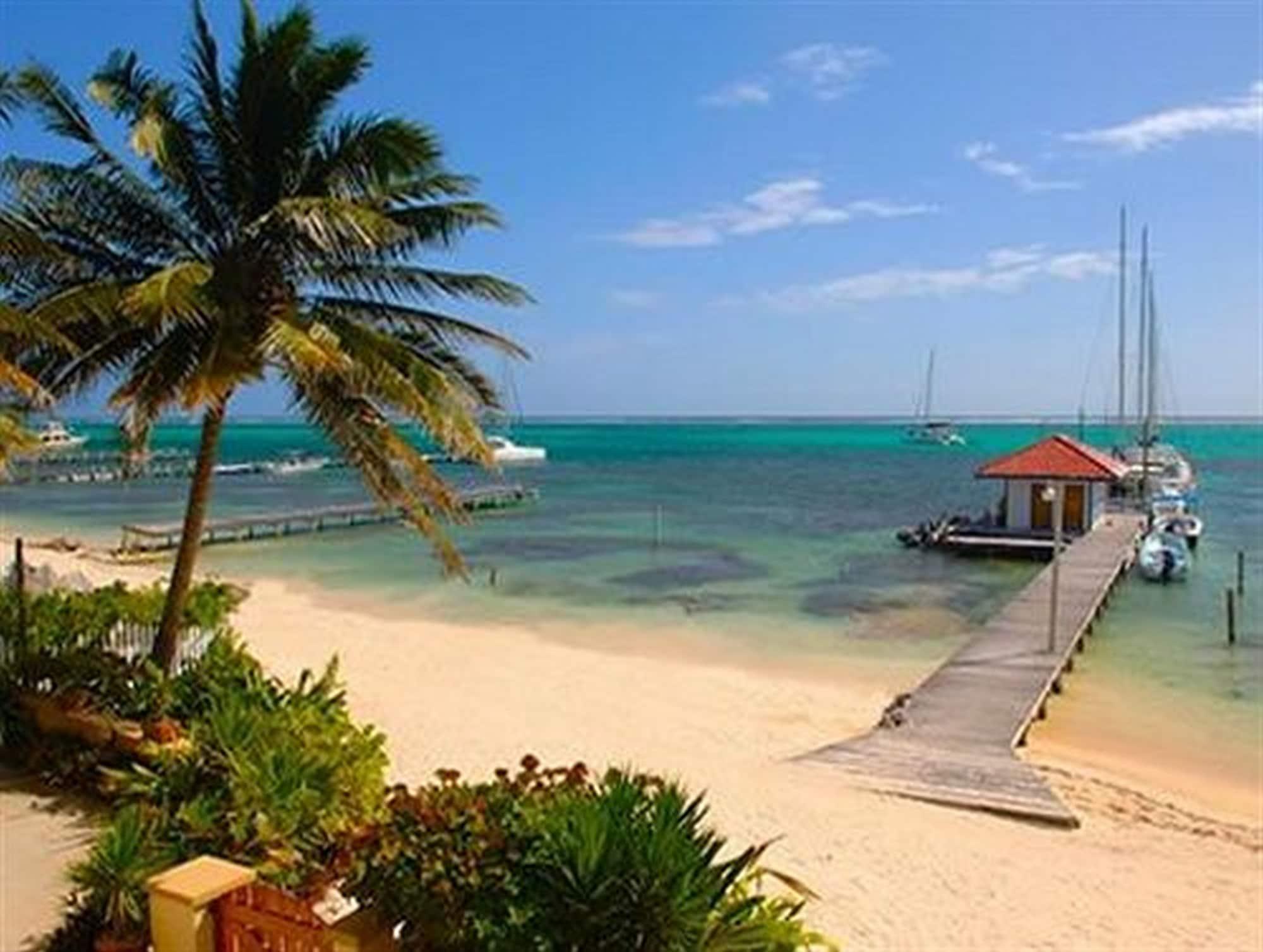 The Palms Oceanfront Suites サン・ペドロ エクステリア 写真